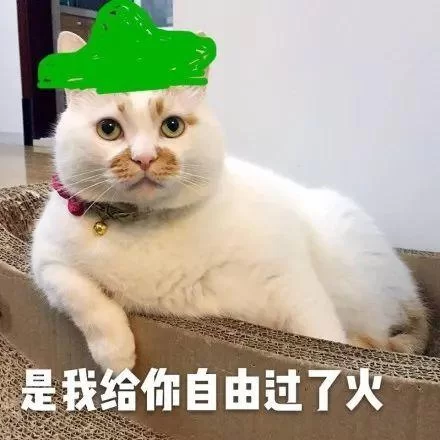 最近超火的“麻跨”是什么意思？看完你就懂了！