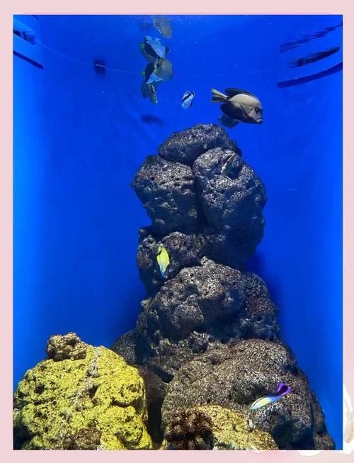 海王什么意思？如何识别身边的“海王”？