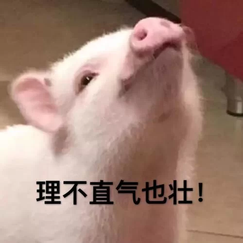 最新理直气壮表情包合集，让你聊天底气十足！