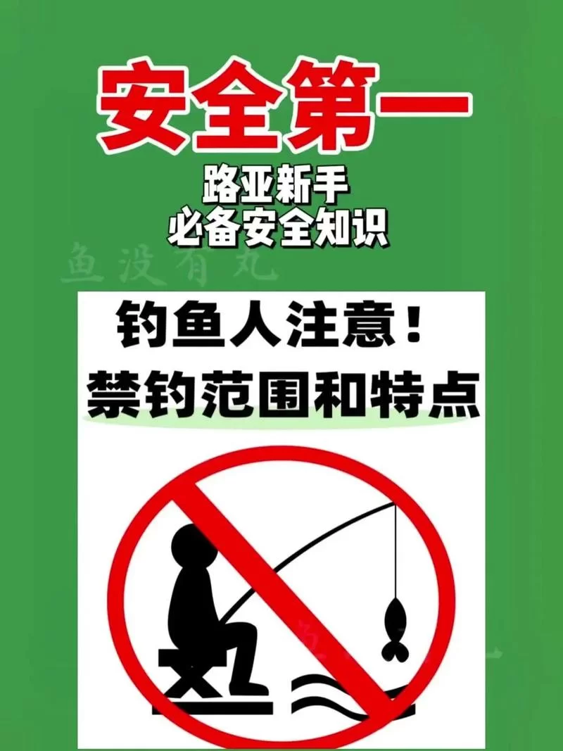 钓鱼225了任务怎么接？详细流程看这篇就够了！