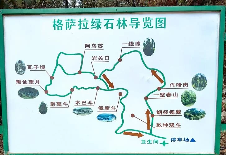石壁上的灌木具体位置，实地调查结果一看便知！