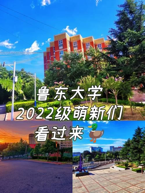 鲁东大学教务信息网怎么进？详细步骤看这里！