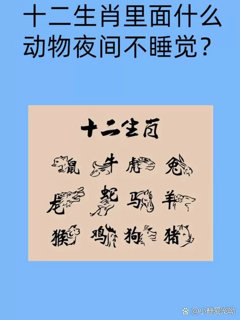 猜谜：迥然不同的动物是什么生肖？看看你猜对了吗？