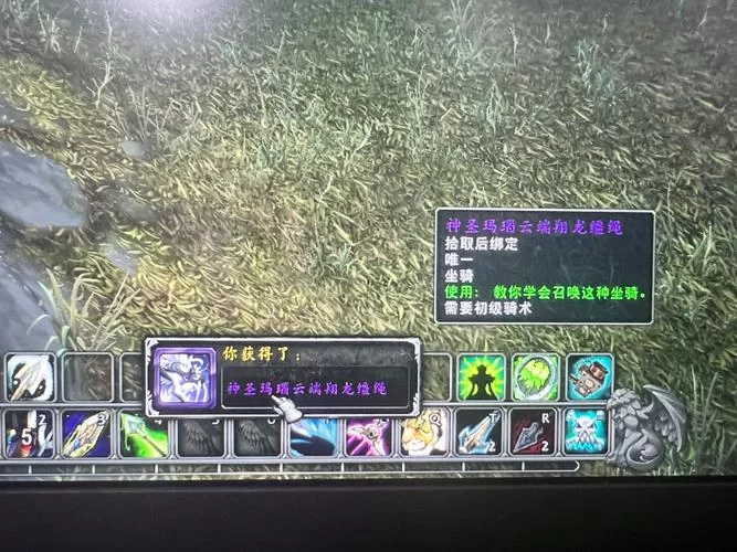 快速获取神圣玛瑙云端翔龙缰绳的方法，看这里！