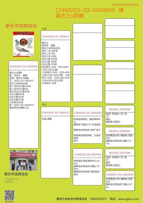 鸽子查成绩免费查询怎么用？手把手教你查分！