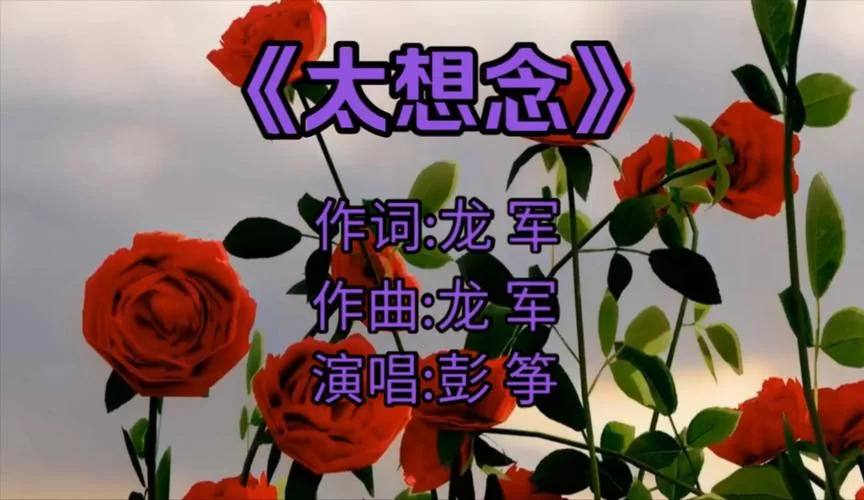 我对你太想念太想念，这首歌背后有什么样的故事？
