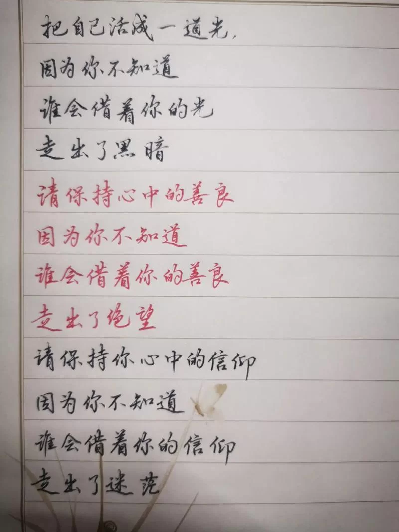 想知道谁更马里旺？看完这篇你就不会选错！