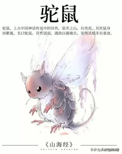 想了解山海经神兽录？这篇文章让你秒变专家！
