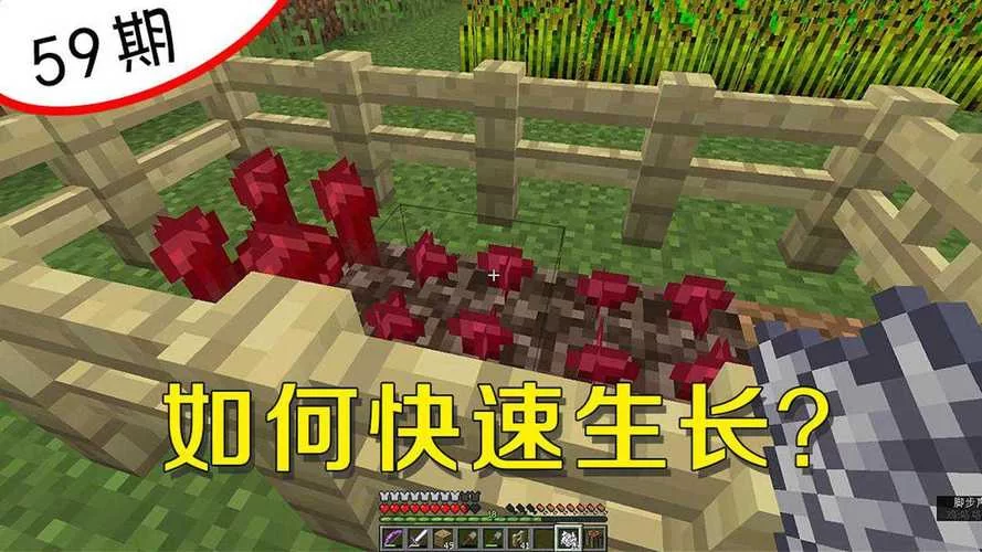 我的世界地狱疣有什么用？这些妙用你肯定不知道！