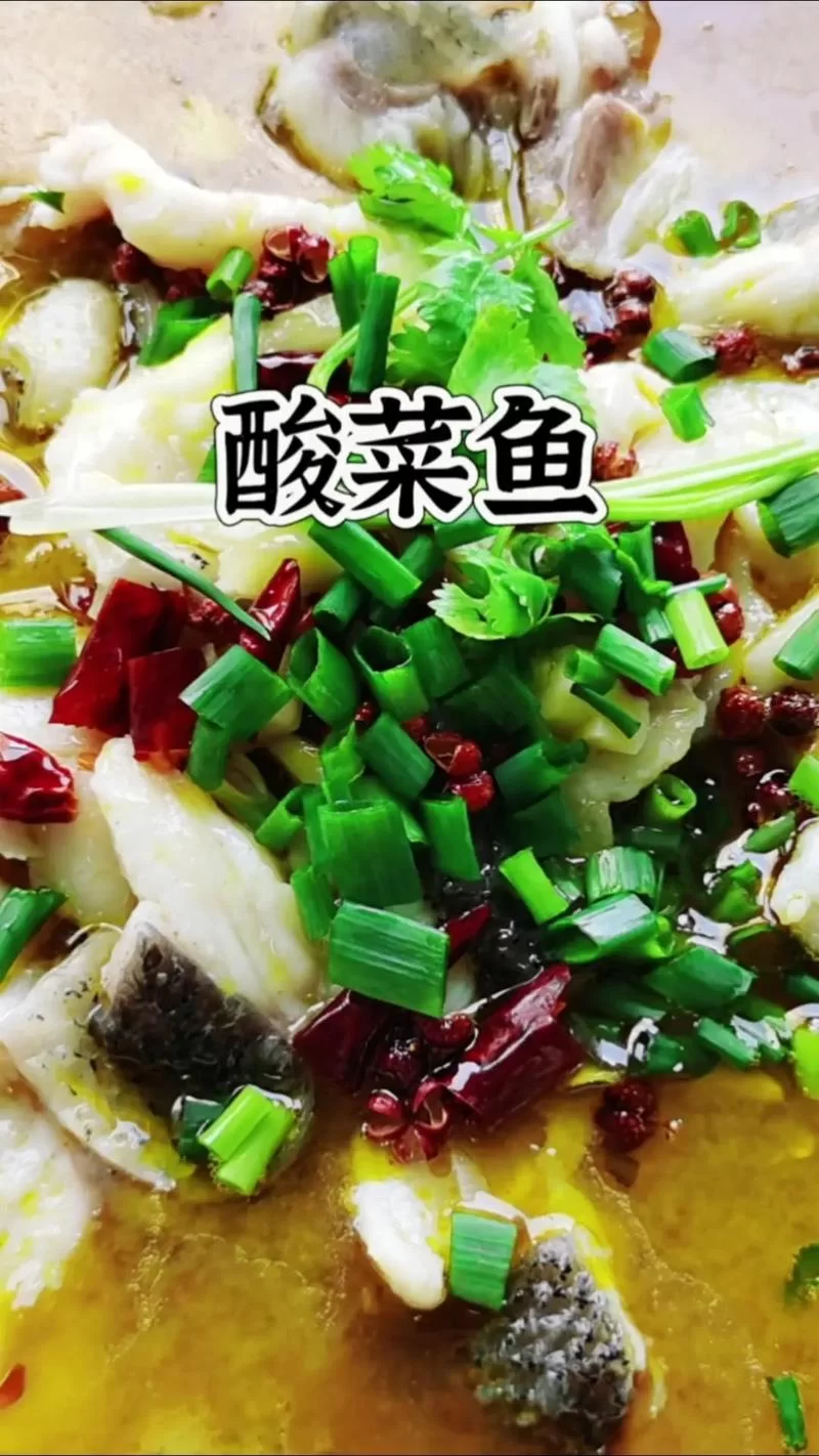 盘点那些又酸又菜又多余的歌，我是一条酸菜鱼绝对算一首！