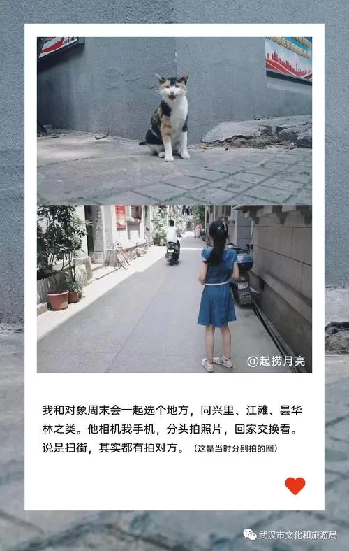 朋友的交换怎么玩？这篇超详细攻略快来看！