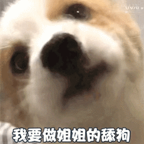 舔屏的表情包太魔性！看完这些图我笑出腹肌！