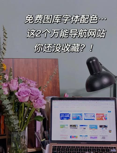 精选照片用哪个网站？这几个图库满足你各种需求！