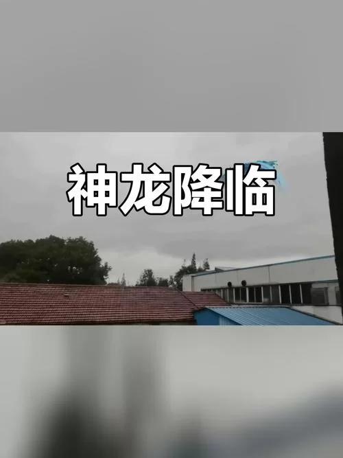 龙的天空新版好玩吗？新手必看的新版攻略！