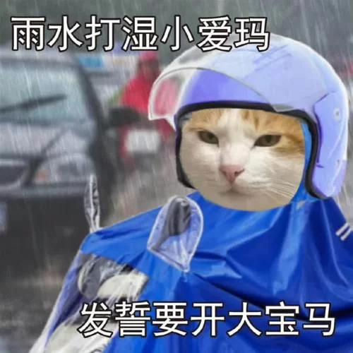 艾卡西亚暴雨是什么意思？这个梗原来这么火！