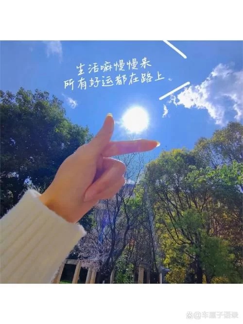 谁能解释下：太阳为父月亮为母九阳齐现全即是一？