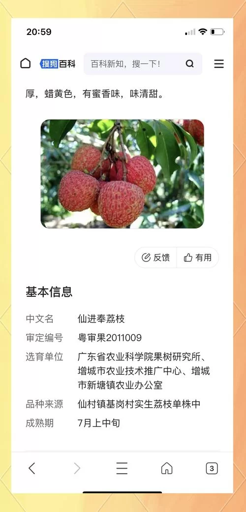 荔枝app下载官方渠道在哪？这篇文章告诉你答案！