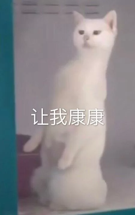 让我康康表情包合集，高清无水印图片大全分享！