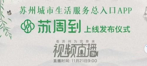 苏周到app下载安装指南，手把手教你轻松搞定！