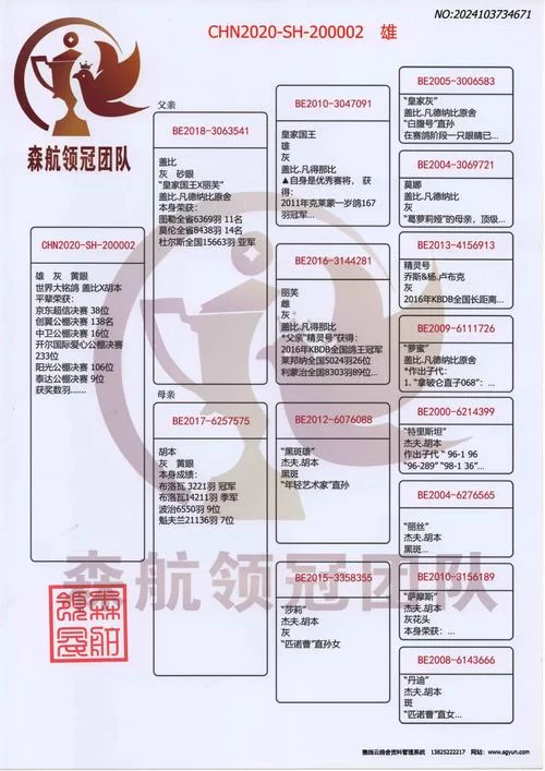 想免费查鸽子全部成绩？这个网站别错过！