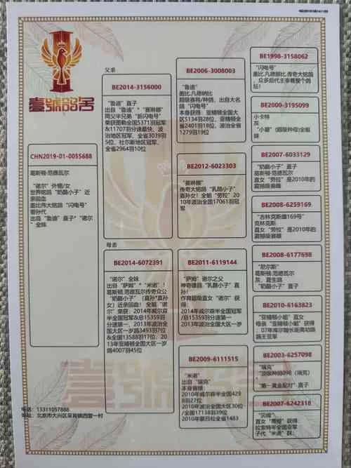想免费查鸽子全部成绩？这个网站别错过！