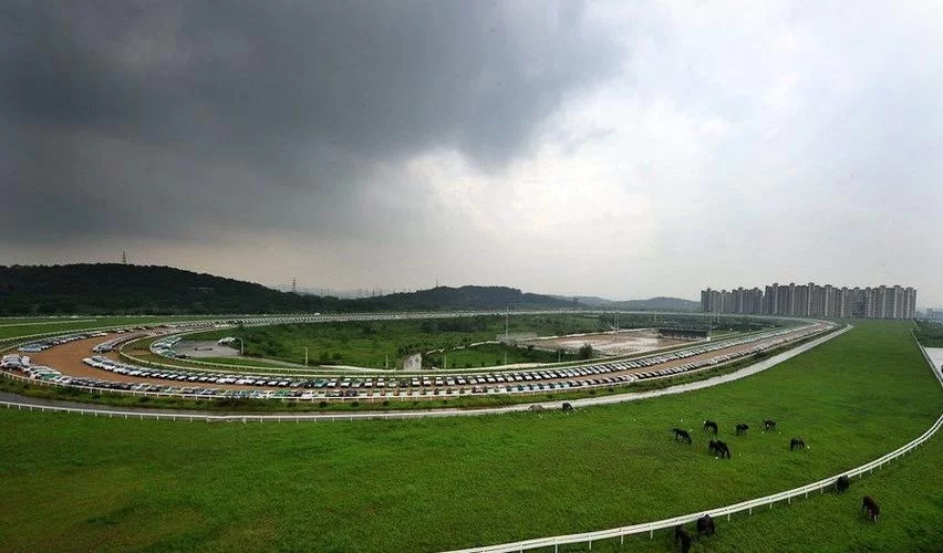 顶级跑马牧场在哪？这些地方的马场超赞！