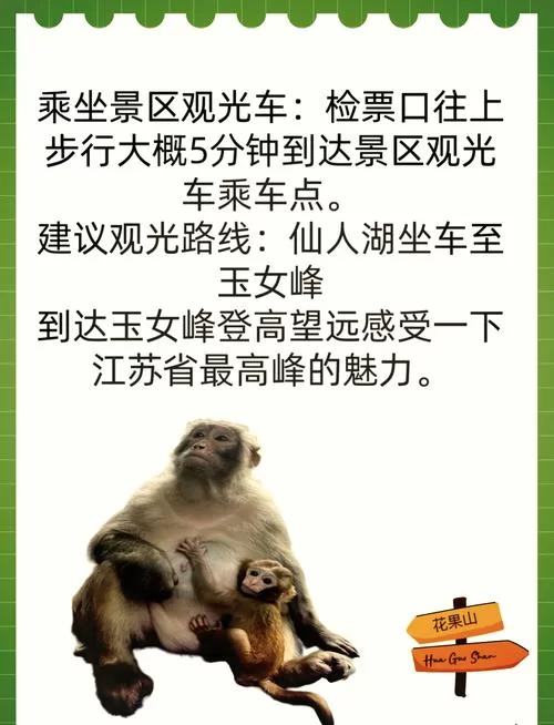 花果山怎么玩才过瘾？这篇暴力攻略别错过！