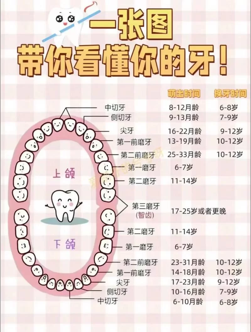 牙牙进化等级是多少？快速了解一下！