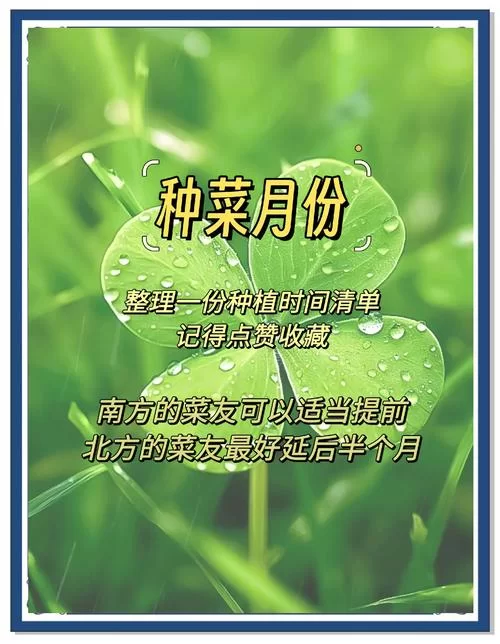 种菜游戏排行榜来啦！快来看看哪款是你的菜！