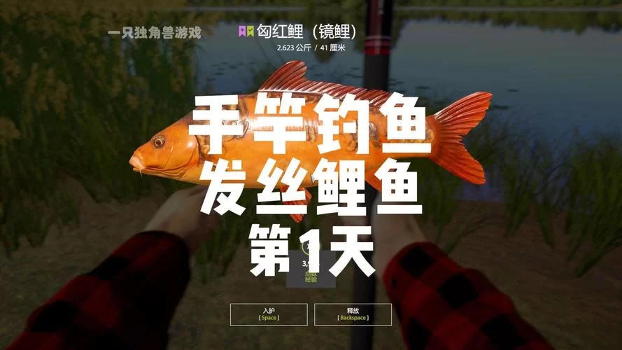 最真实的手竿钓鱼游戏有哪些？钓鱼爱好者必看！