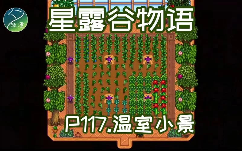 星露谷物语温室收益最大化，种植技巧分享！
