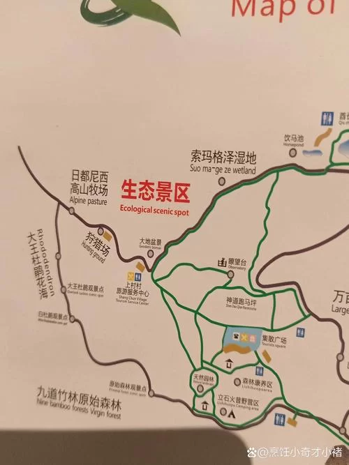 海拉鲁大森林在哪？新手保姆级攻略看这篇就够了！
