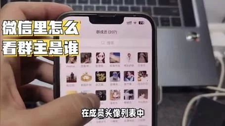 微信群怎么看谁是群主和管理员？新手一看就会！
