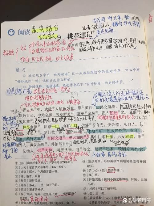 桃花村的故事讲了啥？看完这篇你就全明白了！