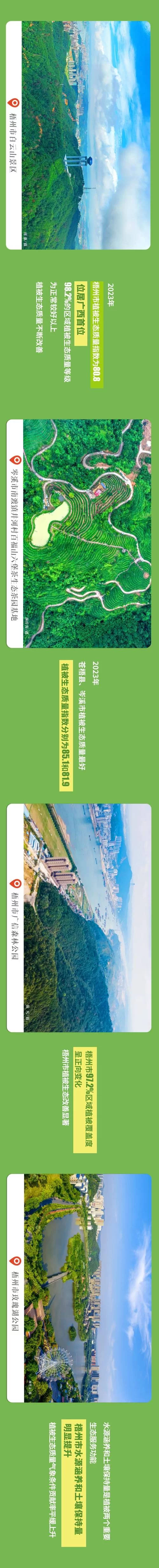 梧州零距离报道过我家吗？快速搜索本地新闻！