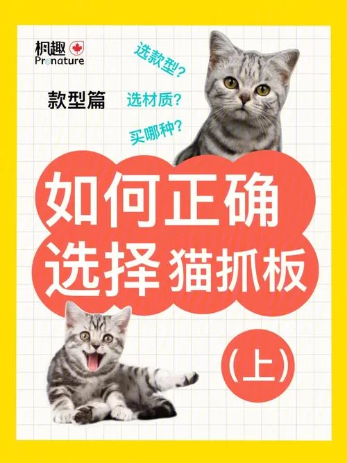 猫抓插件有哪些？对比这几款帮你做个选择！