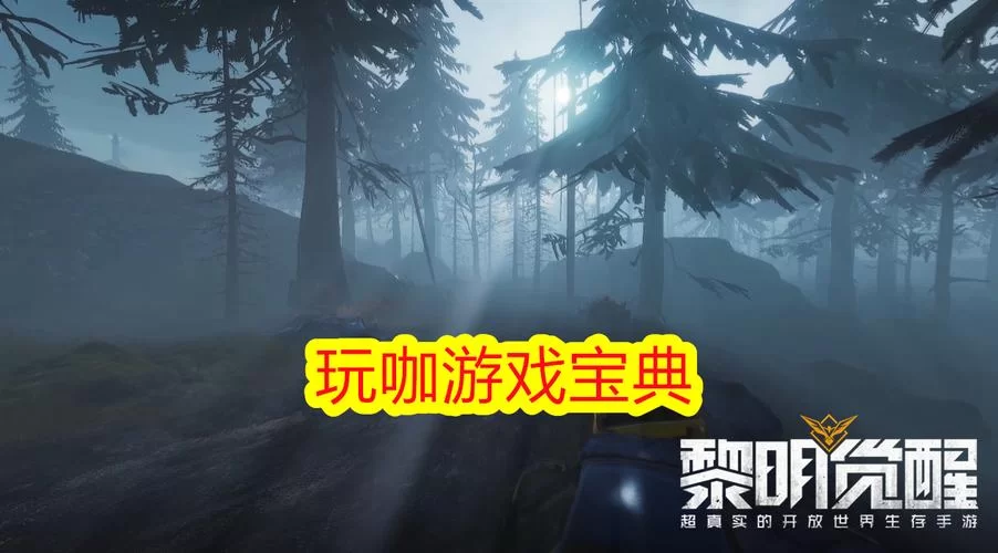 黎明觉醒兑换码过期了怎么办？别急，这样做！