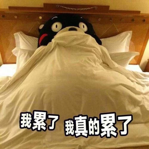熊本熊表情包太可爱了吧！聊天必备快收藏！
