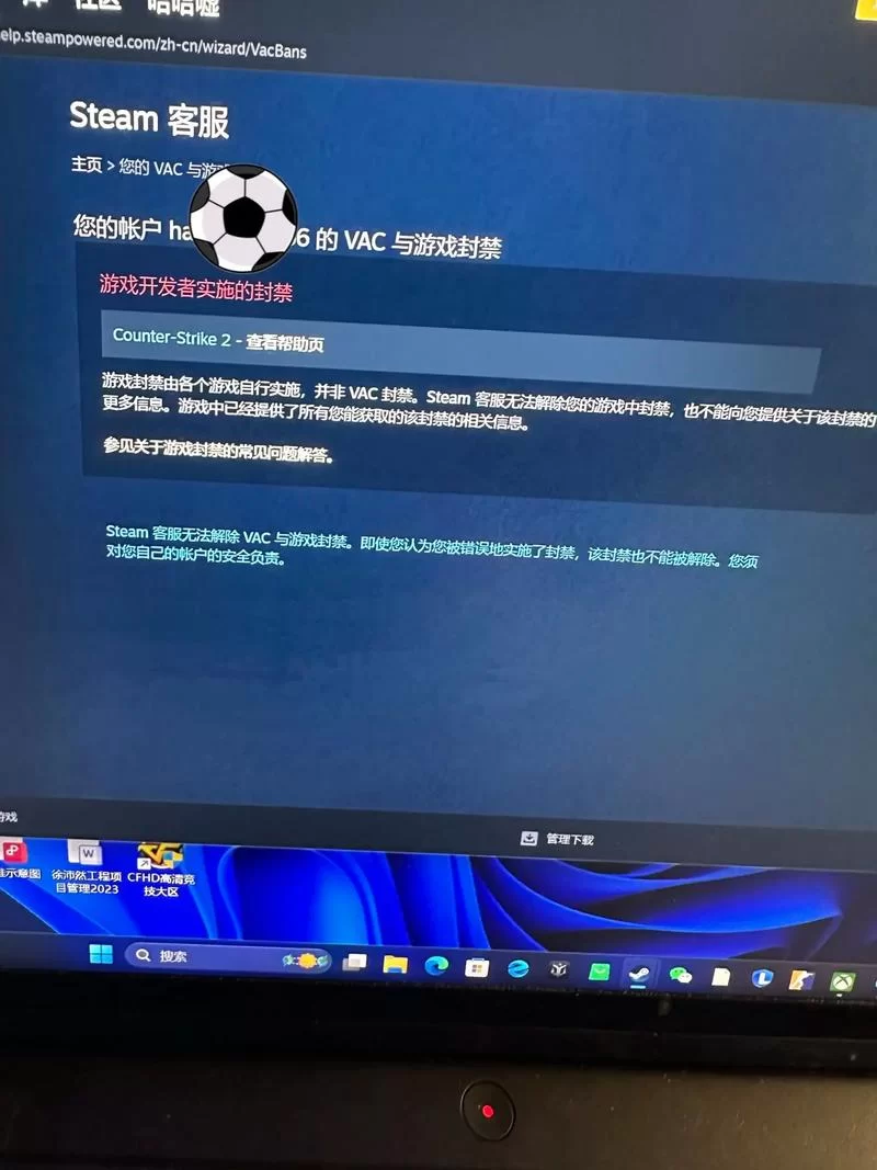 遭遇vac封禁别慌！教你判断是否永久封禁！