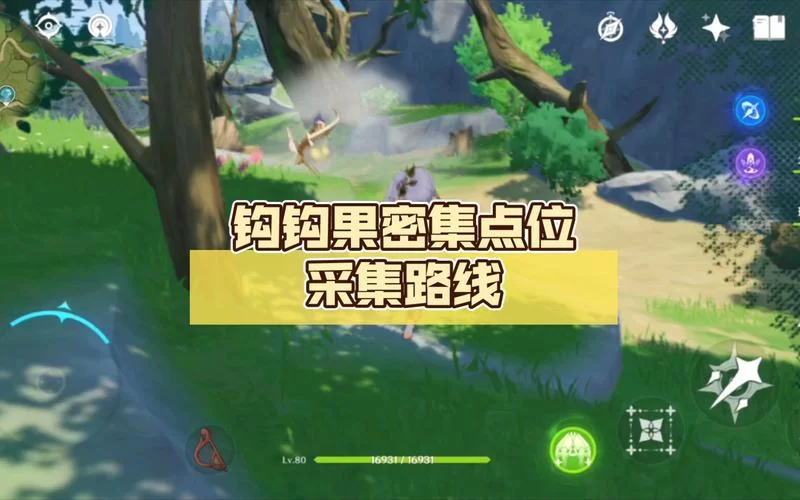 钩钩果位置分布一览，快速采集路线看这里！