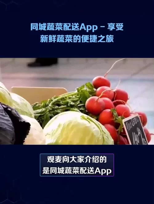 本地同城蔬菜配送平台怎么选?看看大家怎么说! 本地同城蔬菜配送平台怎么选?看看大家怎么说!