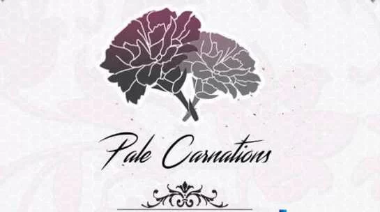 想玩转康乃馨俱乐部？全流程详细攻略看这里！