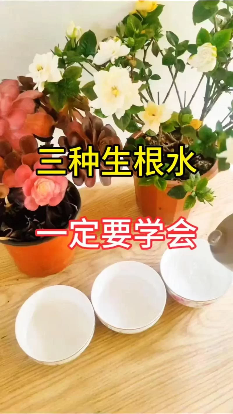 深根底层怎么做？这几个实用方法快收藏！