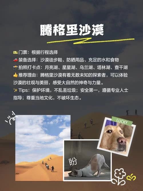 想去沙漠绿洲玩？这份超详细攻略快收好！