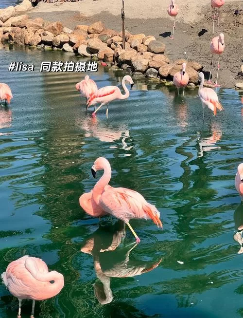 想去沙漠绿洲玩？这份超详细攻略快收好！