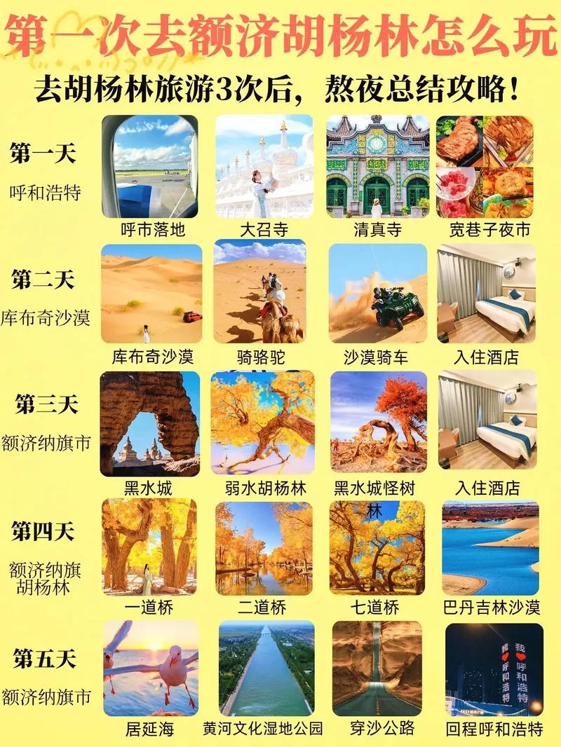 想去沙漠绿洲玩？这份超详细攻略快收好！
