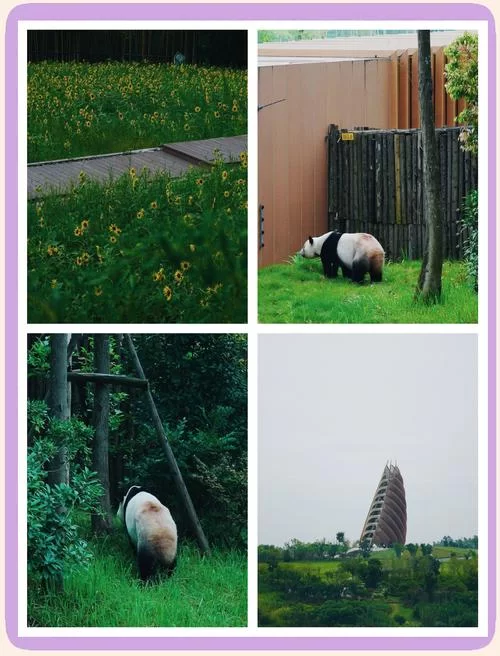 熊猫餐厅需要预约吗？排队攻略看这一篇！