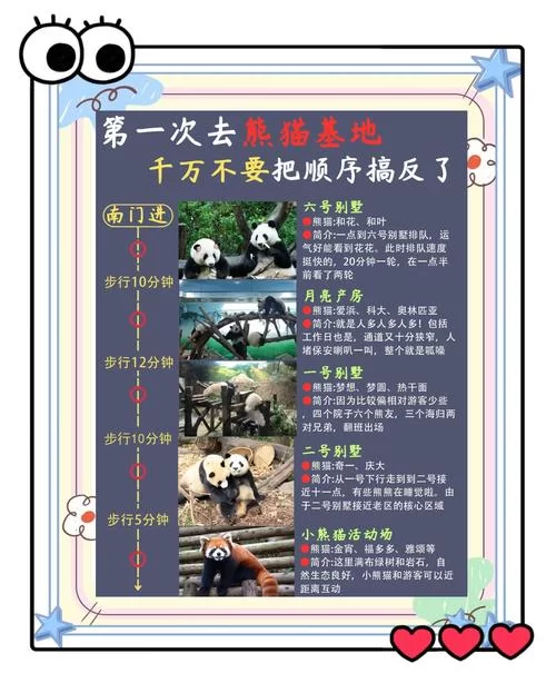 熊猫餐厅需要预约吗？排队攻略看这一篇！