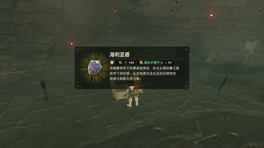 海利亚盾和普通盾的区别，一篇文章给你讲明白！