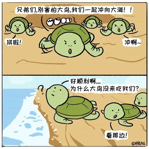 胖兔文明是什么？新手入门攻略看这篇就够了！